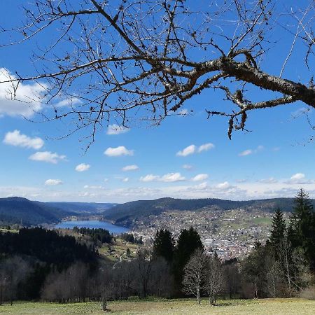 Studio Des Gouttridos Apartment Gerardmer Bagian luar foto