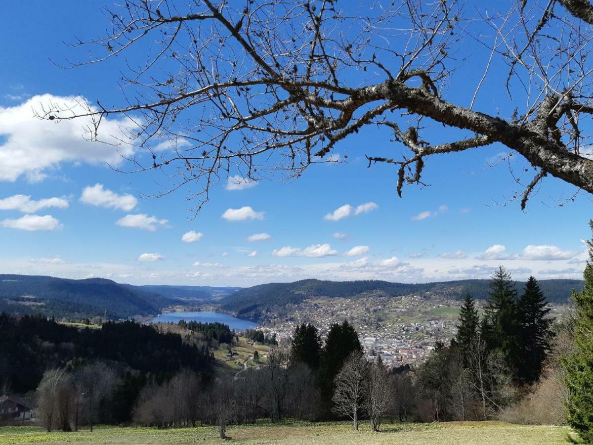 Studio Des Gouttridos Apartment Gerardmer Bagian luar foto